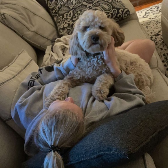 Meet your Posher, Allison - Picture 1 of 1